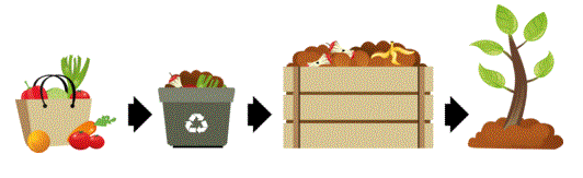Compost